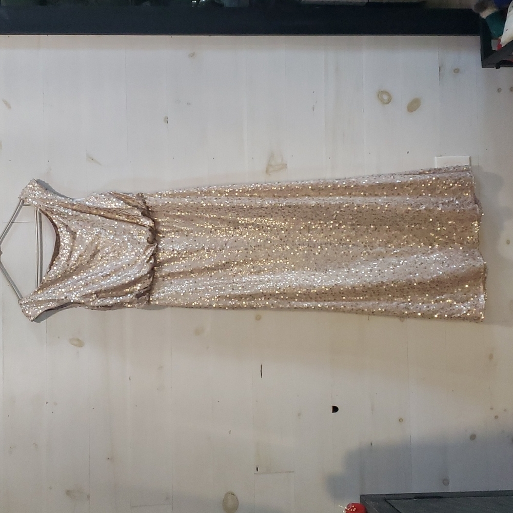David's Bridal Bridesmaid dress